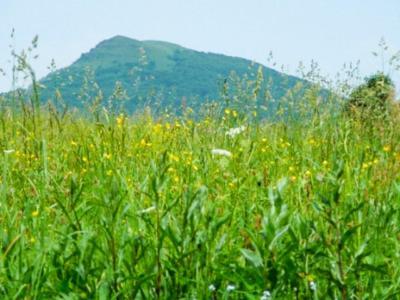 ווטלינה Caloroczne Domki Zacisze Hnatowego Berda W Wetlinie מראה חיצוני תמונה